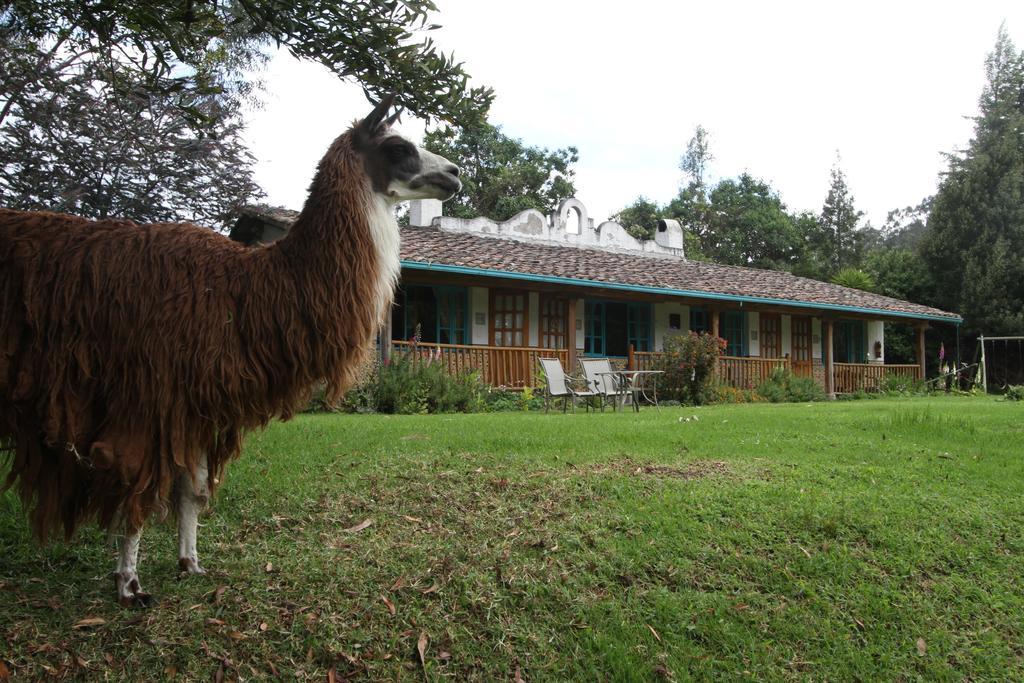 Las Palmeras Inn Otavalo Bagian luar foto