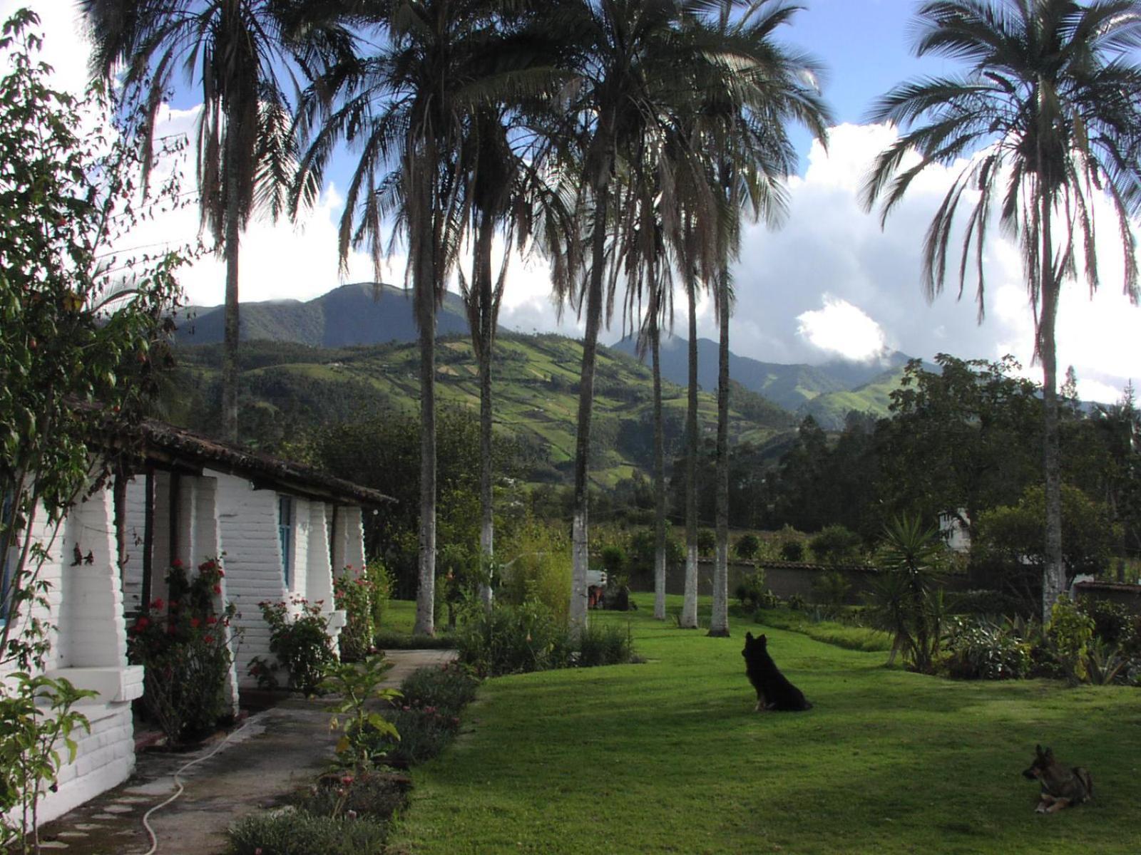 Las Palmeras Inn Otavalo Bagian luar foto